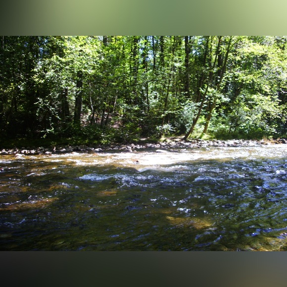 [SOLD] Rare Pentax Optio S60 6MP Vintage Digital Camera 3x Optical Zoom - Picture 8 of 8